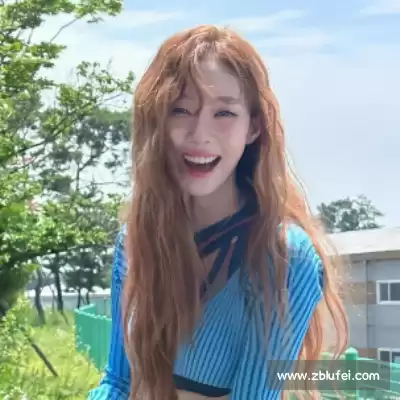 魏花梦
